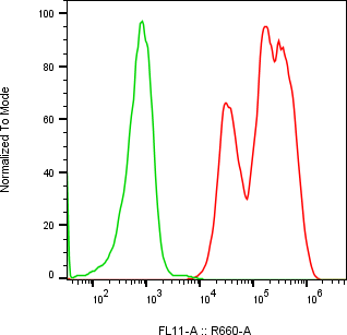 Rabbit-anti CGB2 monoclonal antibody
