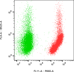 Rabbit-anti CD47 monoclonal antibody