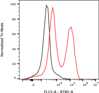 Rabbit-anti IFNA17 monoclonal antibody