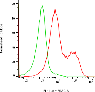 Rabbit-anti GNRH2 monoclonal antibody