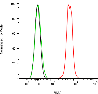 Rabbit-anti CST7 monoclonal antibody