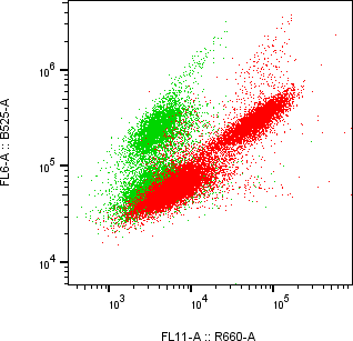 Rabbit-anti IGFBP4 monoclonal antibody