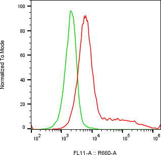 Rabbit-anti CDSN monoclonal antibody