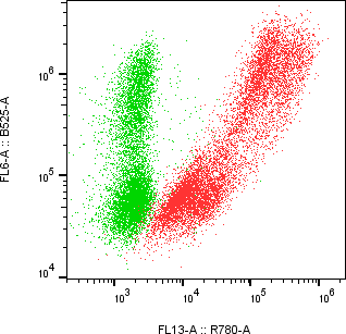 Rabbit-anti EFNA1 monoclonal antibody