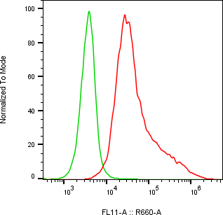Rabbit-anti LRP10 monoclonal antibody