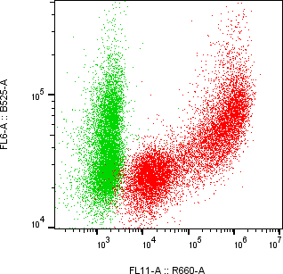 Rabbit-anti REG3A monoclonal antibody