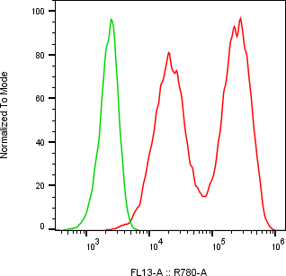 Rabbit-anti CXCL5 monoclonal antibody