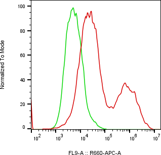 Rabbit-anti IL22 monoclonal antibody
