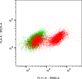 Rabbit-anti SAA1 monoclonal antibody