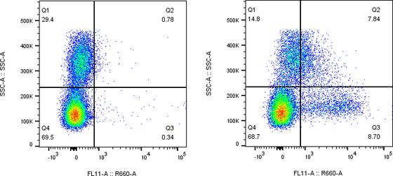 Rabbit-anti KIR2DL3 monoclonal antibody