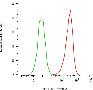 Rabbit-anti EPHB4 monoclonal antibody