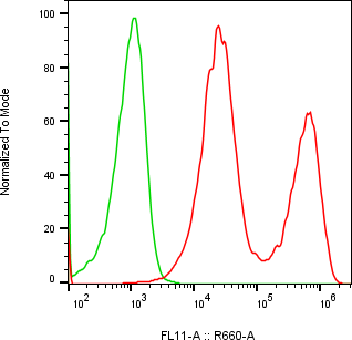 Rabbit-anti CSN3 monoclonal antibody