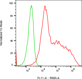 Rabbit-anti APOE monoclonal antibody
