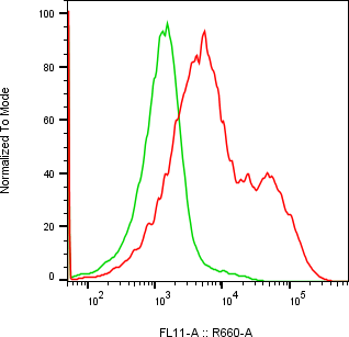 Rabbit-anti GNRH2 monoclonal antibody
