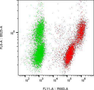 Rabbit-anti LAIR2 monoclonal antibody