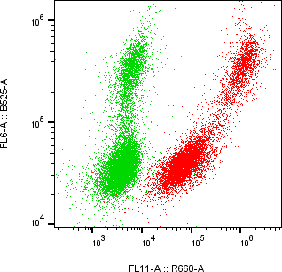 Rabbit-anti PEBP4 monoclonal antibody
