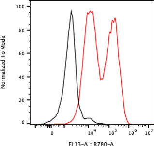 Rabbit-anti SERPINF1 monoclonal antibody