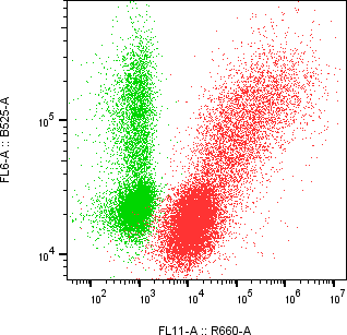 Rabbit-anti PODXL monoclonal antibody