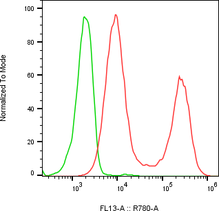 Rabbit-anti LYZ monoclonal antibody