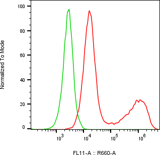 Rabbit-anti PSG5 monoclonal antibody