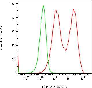 Rabbit-anti LTF monoclonal antibody