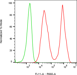 Rabbit-anti CD83 monoclonal antibody