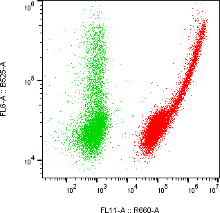 Rabbit-anti NCSTN monoclonal antibody