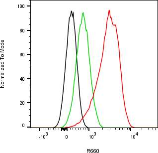 Rabbit-anti APOA1 monoclonal antibody