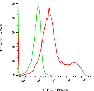 Rabbit-anti CEACAM7 monoclonal antibody