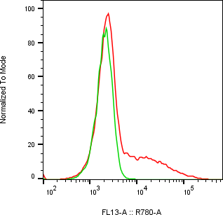 Rabbit-anti CDH16 monoclonal antibody