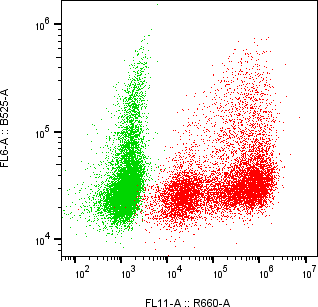 Rabbit-anti SPINK6 monoclonal antibody