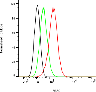 Rabbit-anti APOH monoclonal antibody