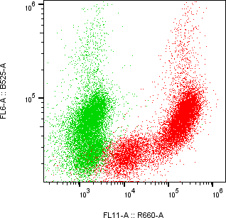 Rabbit-anti CTSO monoclonal antibody