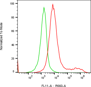 Rabbit-anti SHISAL1 monoclonal antibody