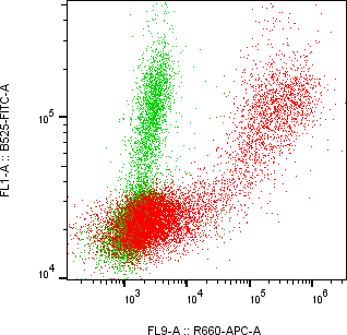 Rabbit-anti GFRA2 monoclonal antibody