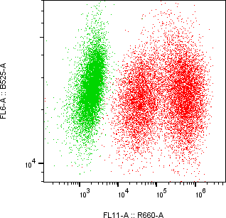 Rabbit-anti KLK6 monoclonal antibody