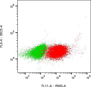 Rabbit-anti BMP10 monoclonal antibody