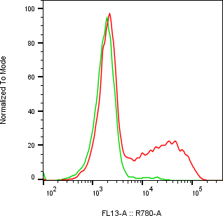 Rabbit-anti MADCAM1 monoclonal antibody