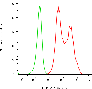 Rabbit-anti TIMP1 monoclonal antibody