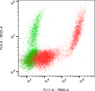 Rabbit-anti NECTIN4 monoclonal antibody