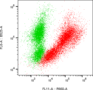 Rabbit-anti FSTL1 monoclonal antibody