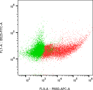 Rabbit-anti NCR2 monoclonal antibody