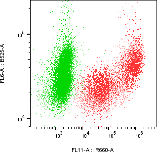 Rabbit-anti PGLYRP4 monoclonal antibody