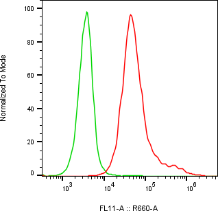 Rabbit-anti LRP10 monoclonal antibody