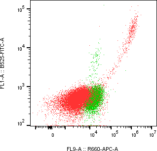 Rabbit-anti TREM1 monoclonal antibody