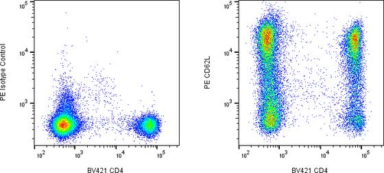 Rabbit-anti SELL monoclonal antibody