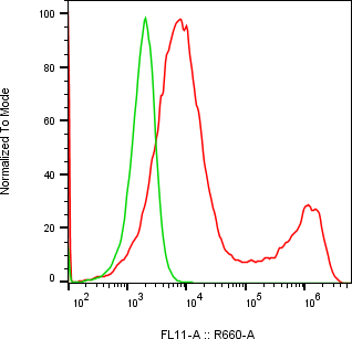 Rabbit-anti SERPINI2 monoclonal antibody