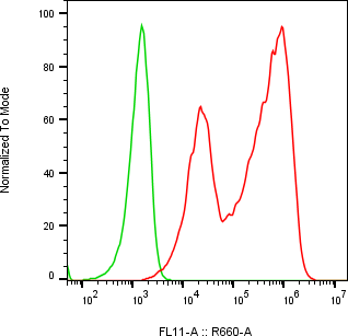 Rabbit-anti SPINK6 monoclonal antibody