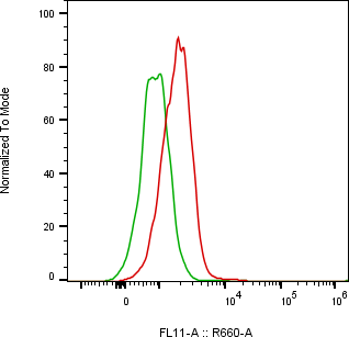 Rabbit-anti IL13RA1 monoclonal antibody