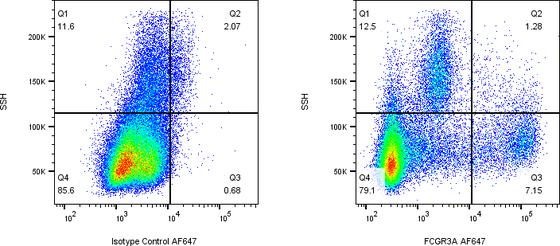 Rabbit-anti FCGR3A monoclonal antibody